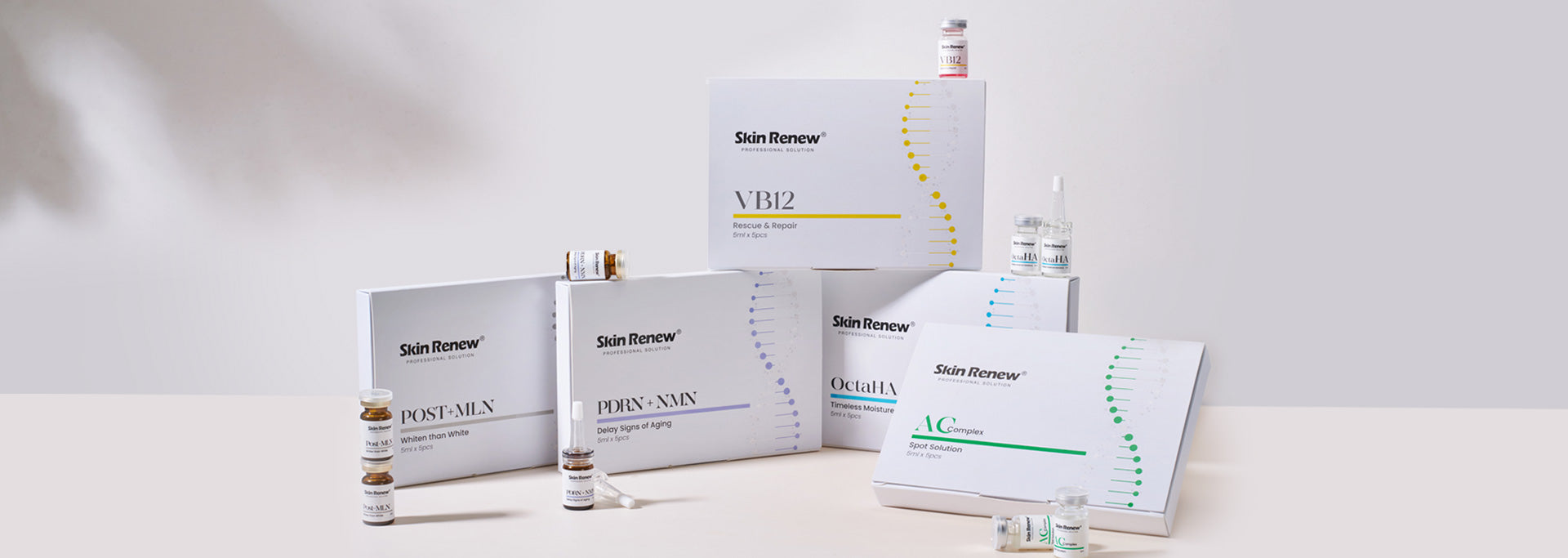 Skin Renew International